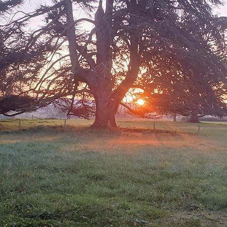 Chateau De Maucouvent Challuy Luaran gambar