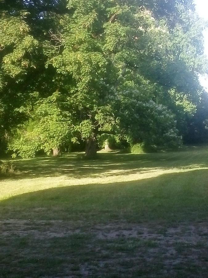 Chateau De Maucouvent Challuy Luaran gambar